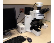 奧林巴斯顯微鏡染色體FISH分析系統(tǒng)案例