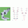徠卡顯微鏡：立體顯微鏡選擇時(shí)要考慮的因素