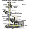 奧林巴斯顯微鏡:光學(xué)元件介紹