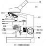技術(shù)：生物顯微鏡(油鏡)的使用與維護(hù)